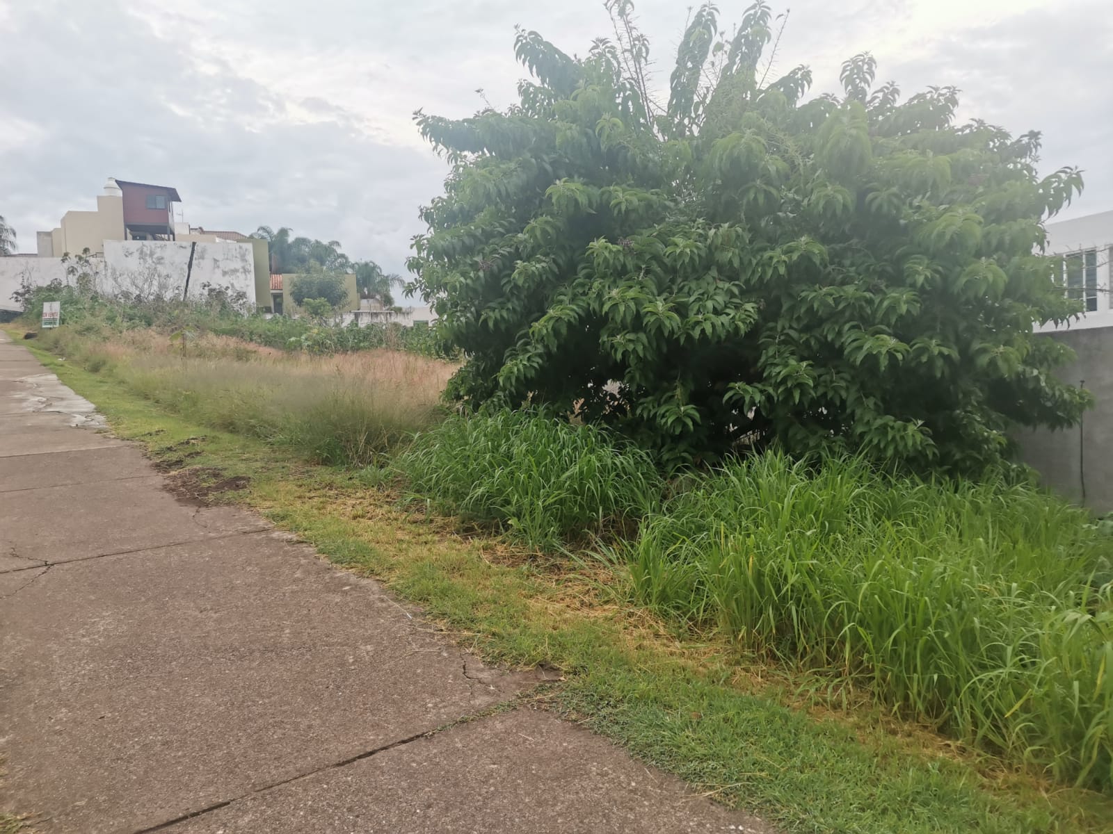 Terreno en venta en Porta Fontana